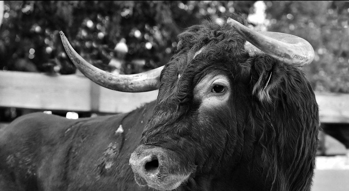 September 2026 Market Recap: Four Years of Bull